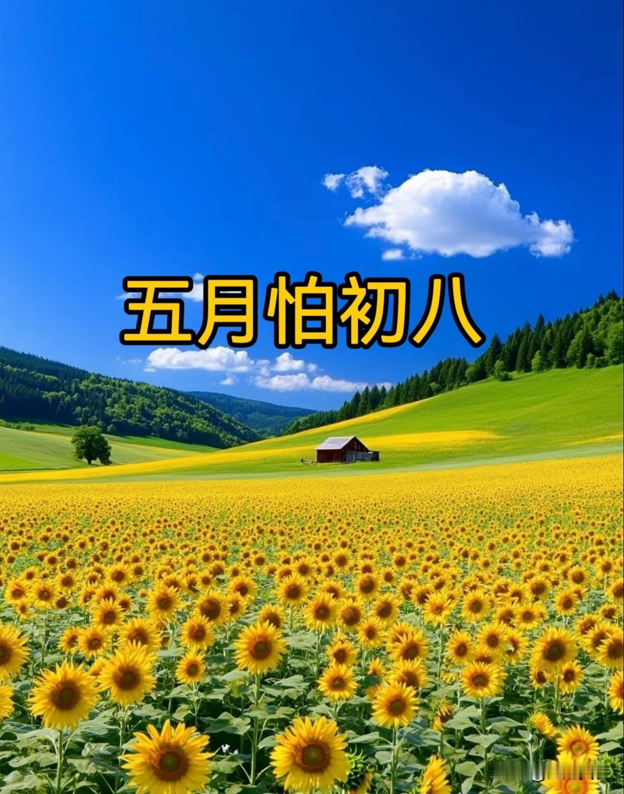 老话说“五月怕初八”，今日五月初八，究竟怕什么？看老祖宗咋说
农历五月初八素有“