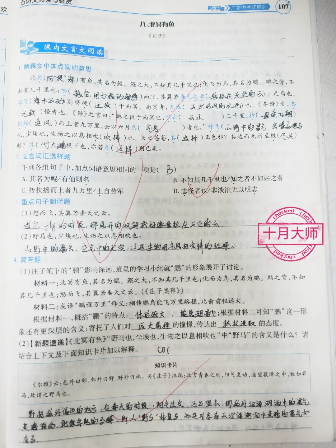 初三中考文言文专题复习《北冥有鱼》考试题