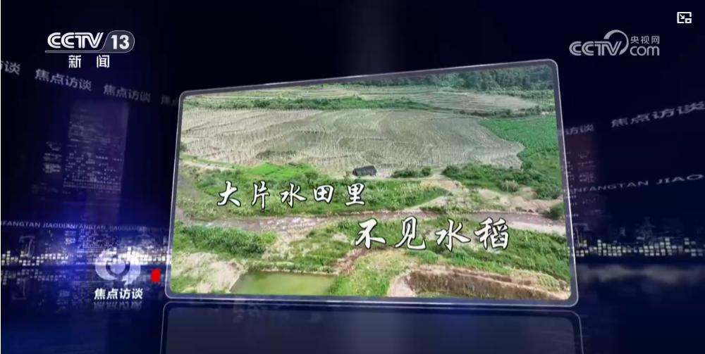23.8万亩实种，38.93万亩上报——江华县多出来15万亩“空气田”到底是谁的