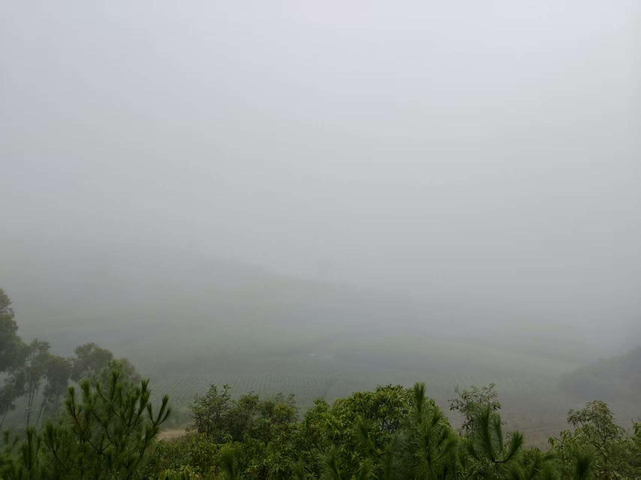 山里早晨 ，空气清新，风景迷人