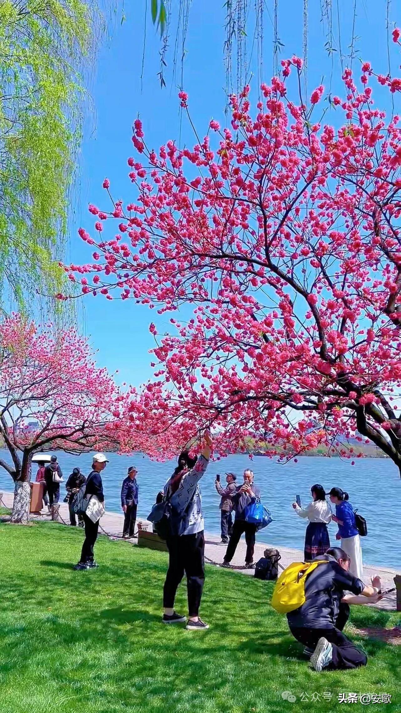 上联:春风摇醉河边柳
下联:暖阳唤醒岸上桃
横批:春满人间