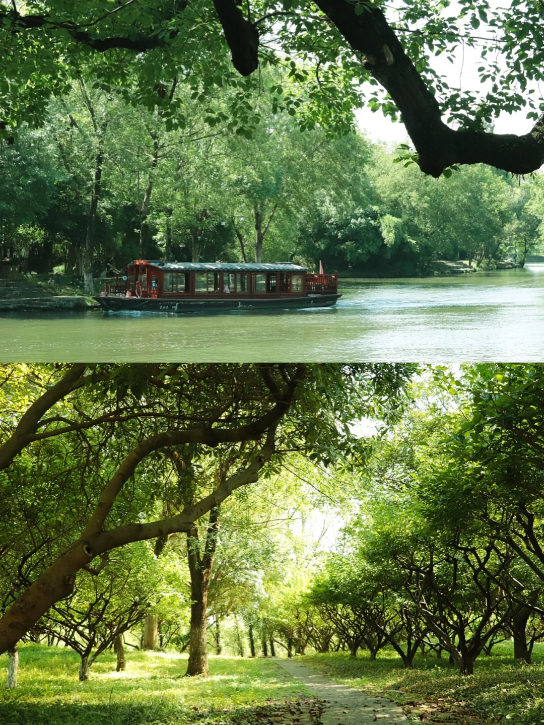 9️⃣张图告诉你杭州西溪湿地有多美‼️