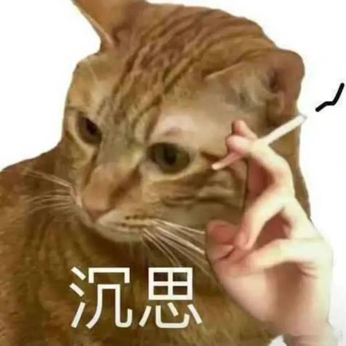 今天追了什么剧 ​​​