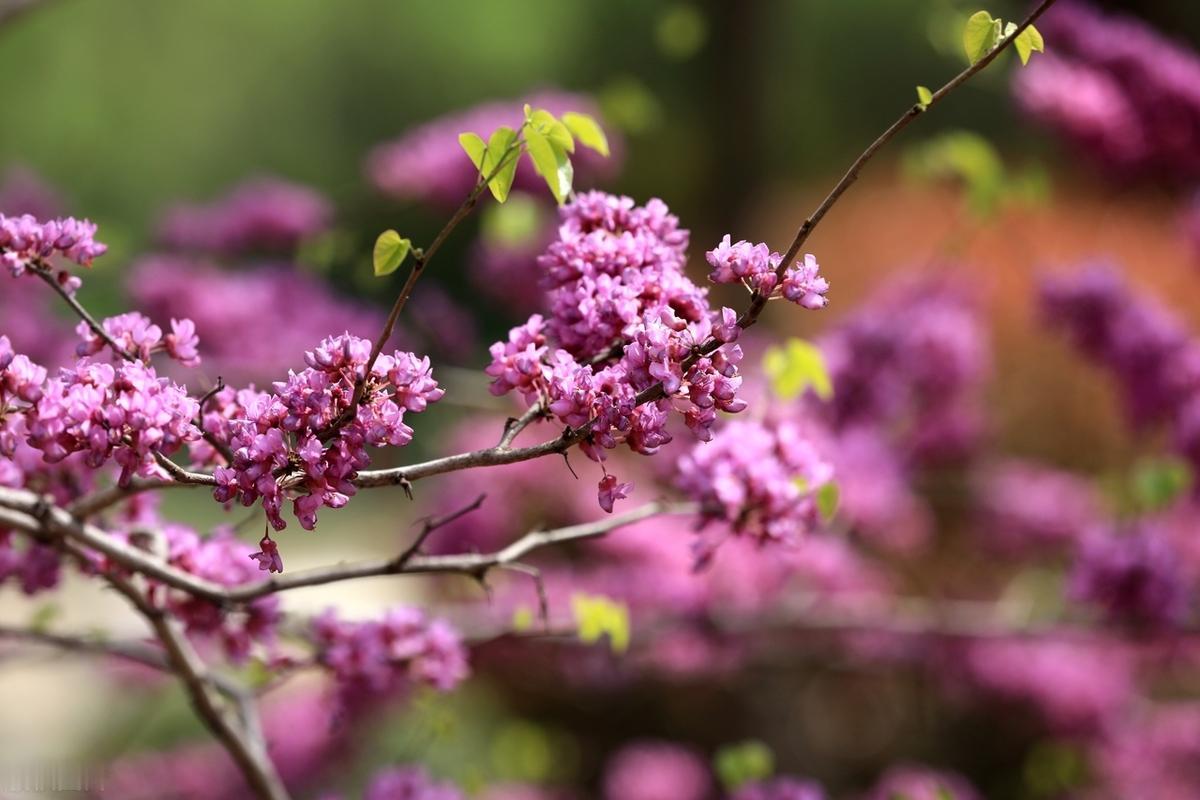 投资是要回报的，回报率要高于资金成本，这是常识，否则，就是生意赚钱，操盘赔钱。看