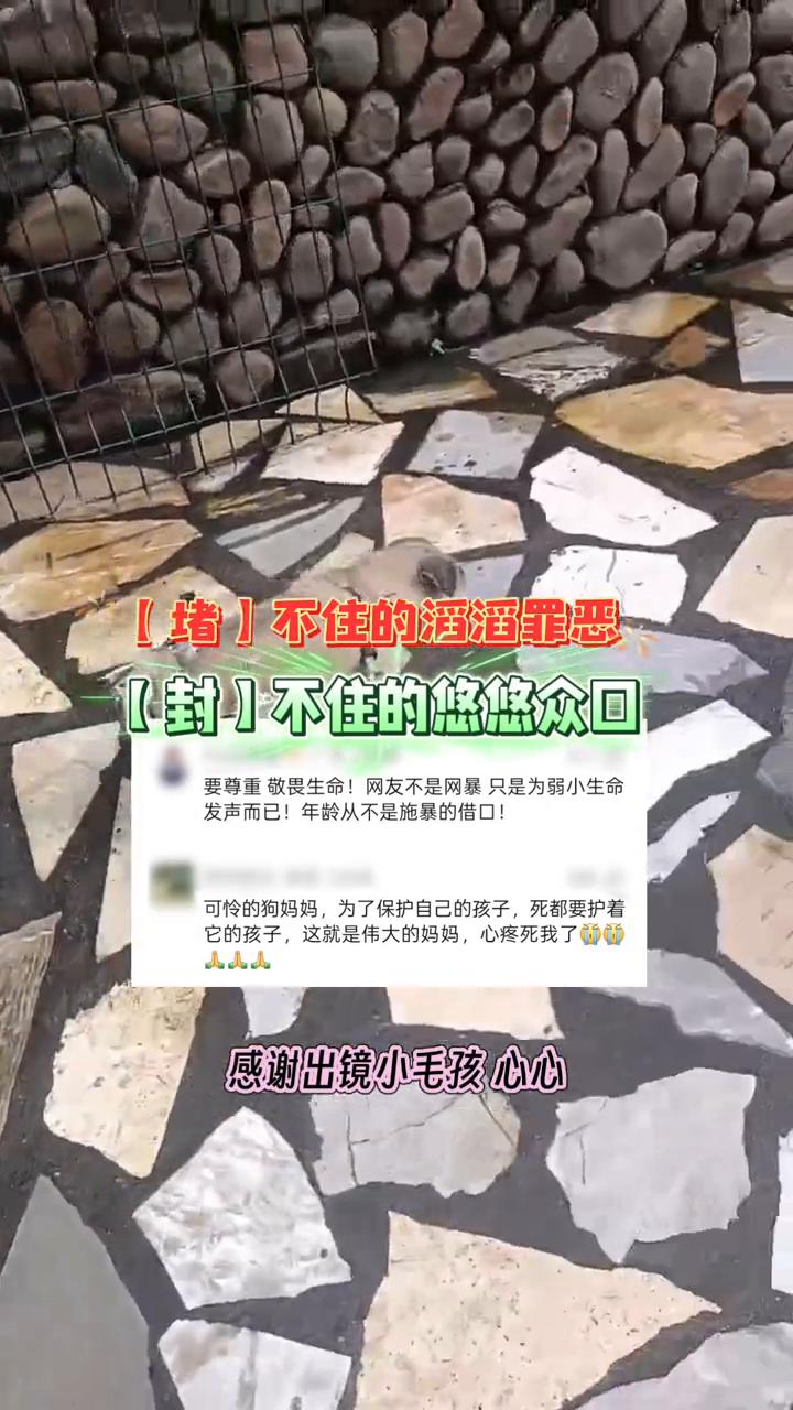堵不住的滔滔罪恶，封不住的悠悠众口。要尊重敬畏生命！网友不是网暴只是为弱小生命发