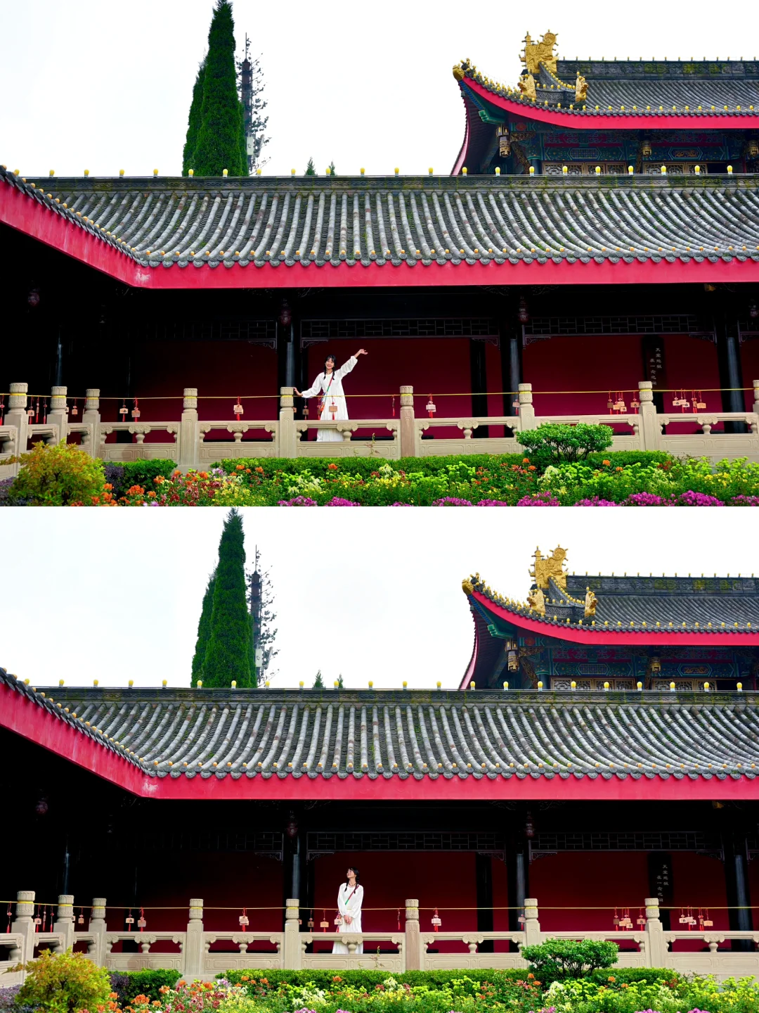 峨眉！大佛禅院！！你怎么美成这样啊……