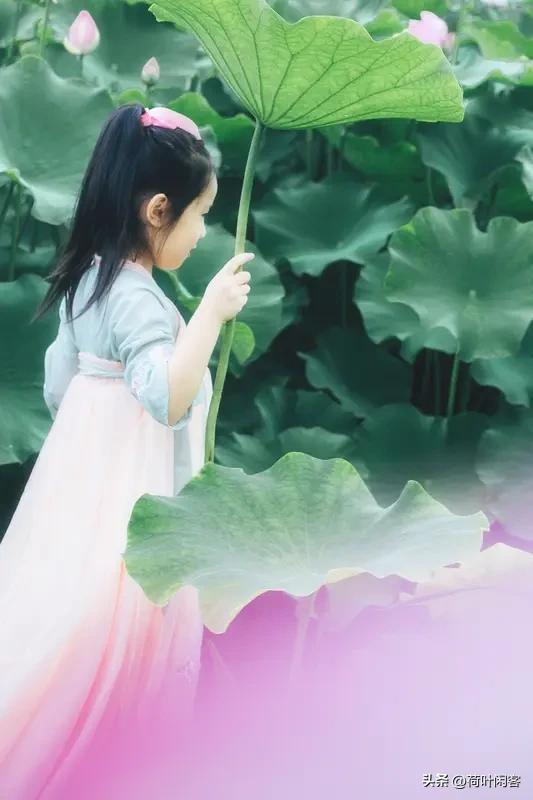 七律·咏荷
​​​​ 熏风炎日水中凉， 菡萏仙姑莲座香。
 绰约多姿迷晓蝶，嫣然