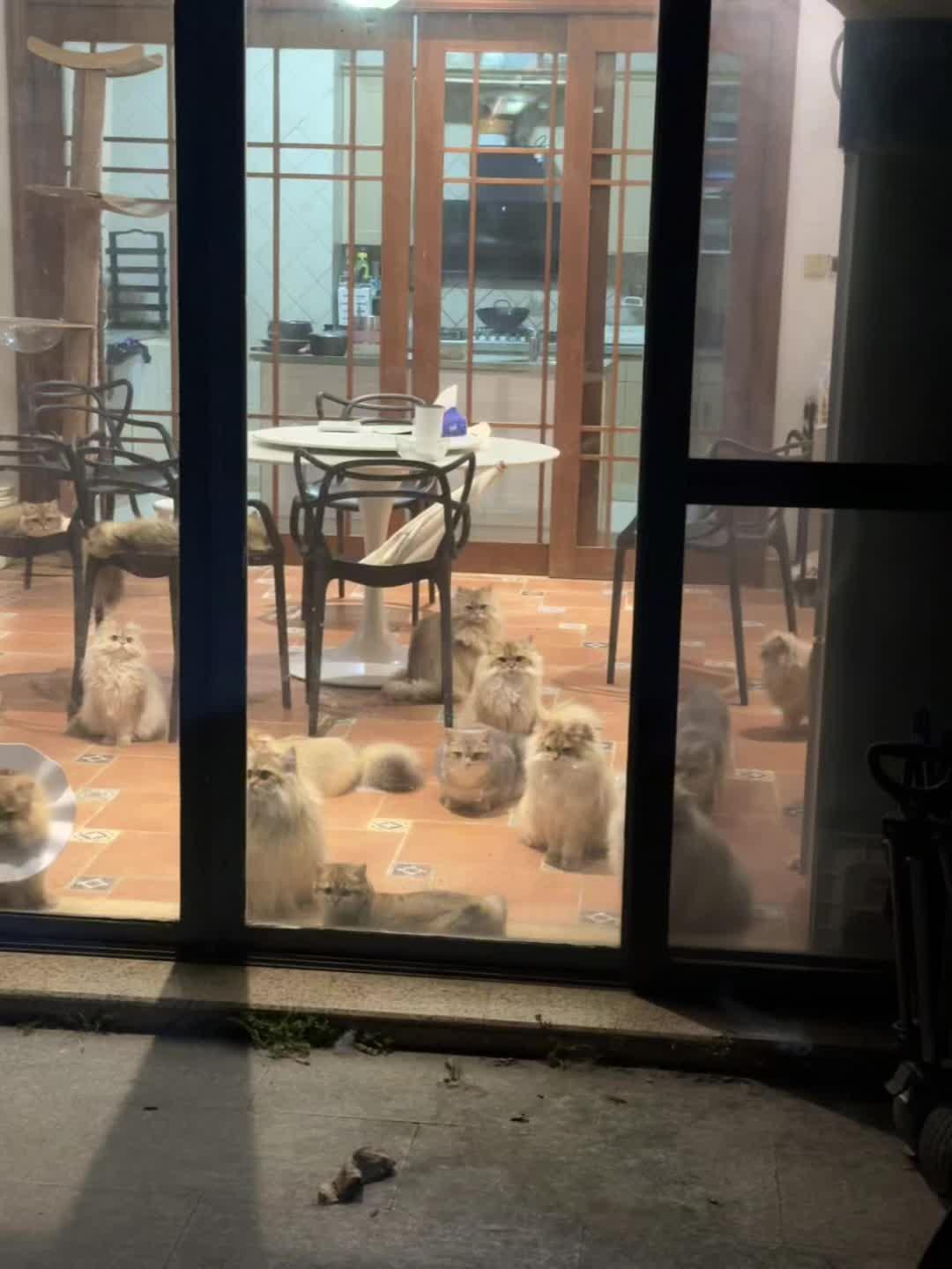 愿时间停留在此刻