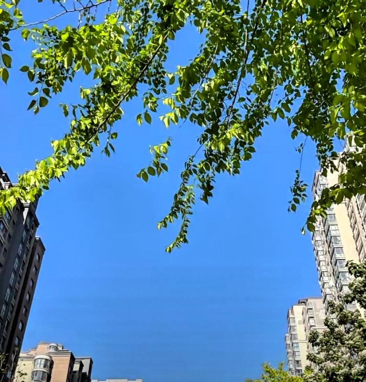 过分善良会怎么样？

善良要带锋芒，心软要有底线；善心留给知恩的人，客气留给懂得