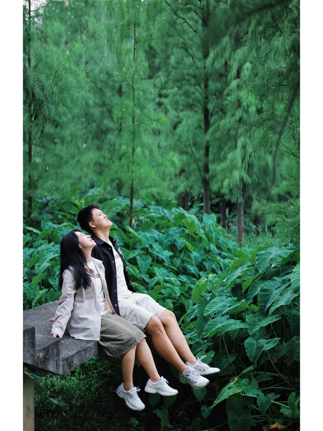 广州0元拍照‼️现实版绿野仙踪🍃太治愈啦‼️