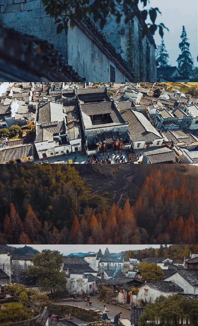 家业官配来了 李祯这一路被打压得太惨了，看到骆文谦终于上线，感觉她终于有了可以依