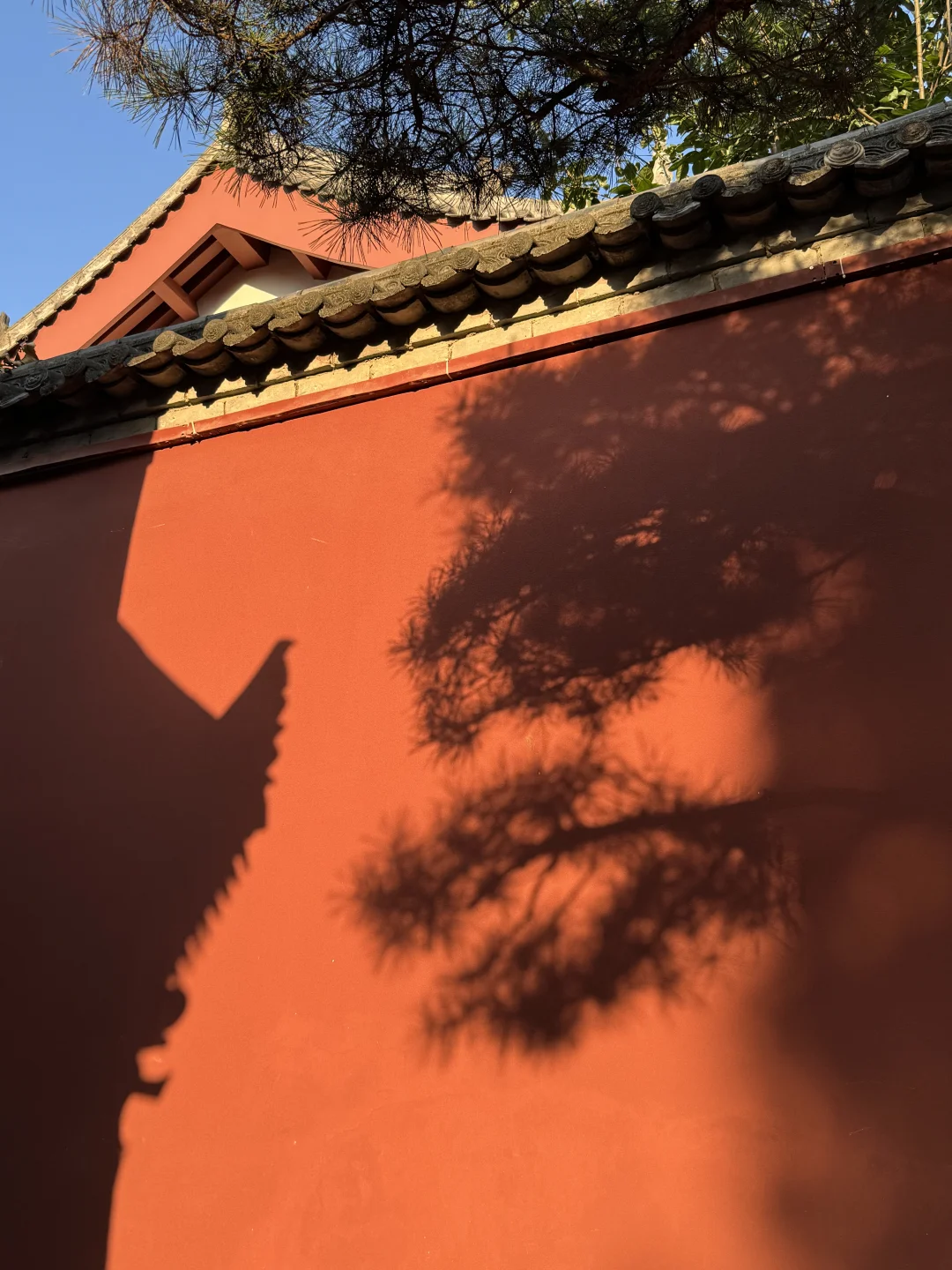 见财神 发大财～