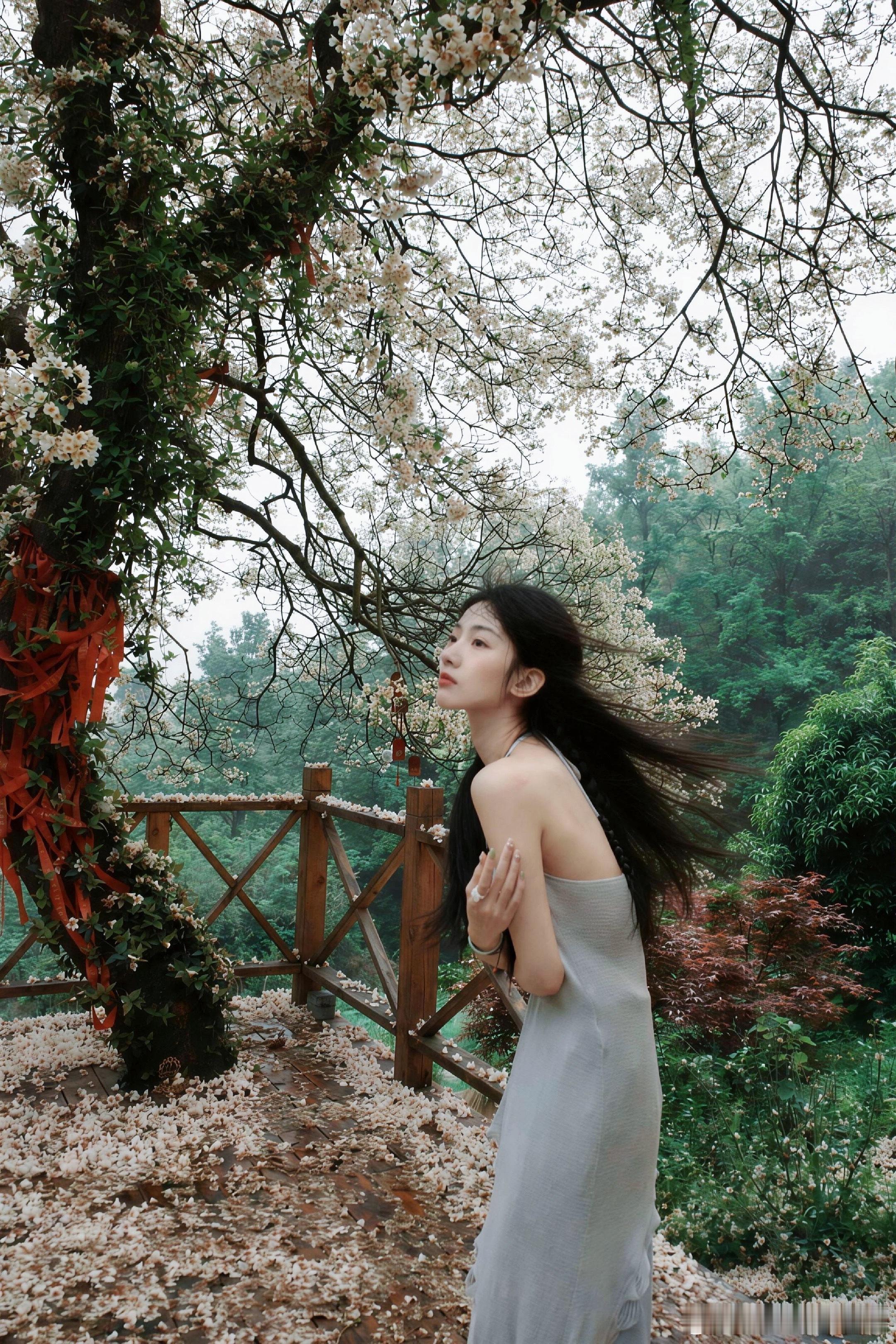 分享图片 