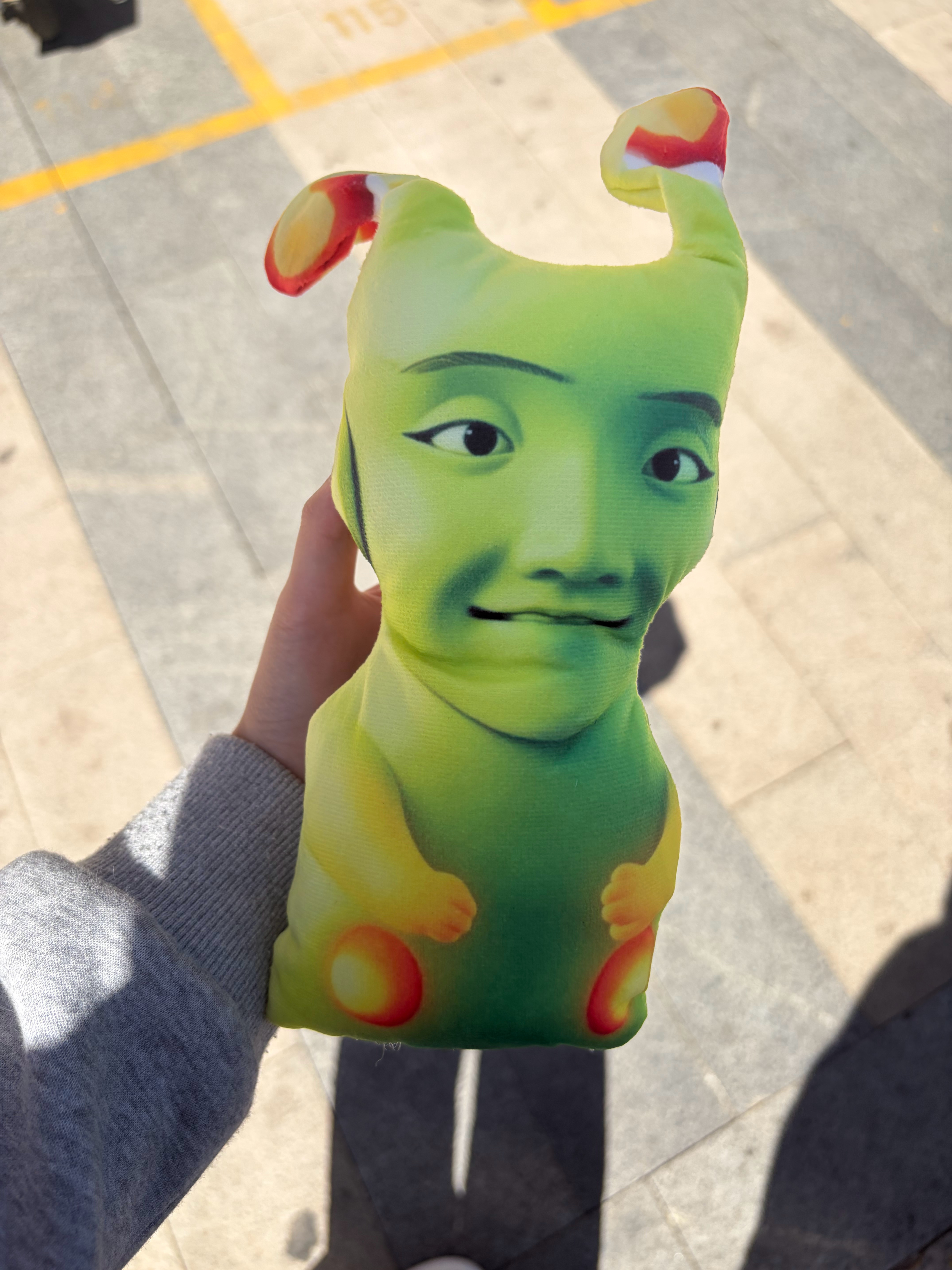 我的素素到了 真够丑的 ​​​