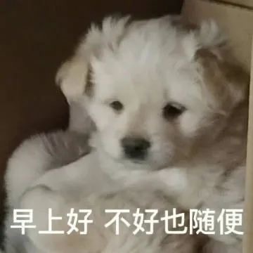 近期收藏的聊天表情包 ​ ​​​