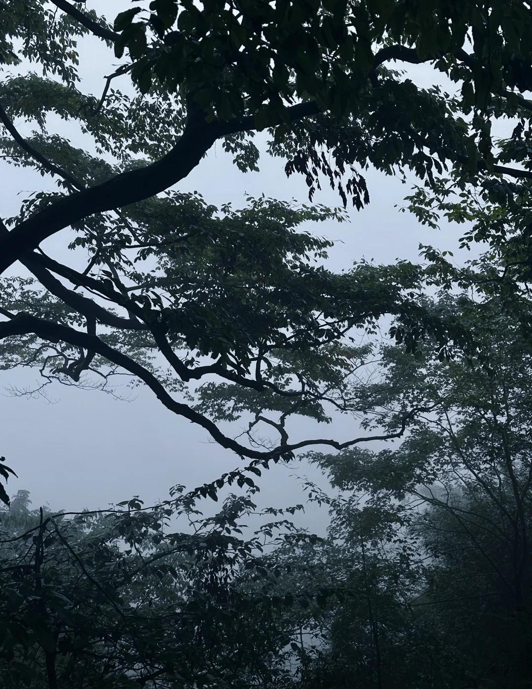 神内女医生|休假神瀑沟吸氧日
如果想找一个离成都不远、能安静待上一天的地方，推荐
