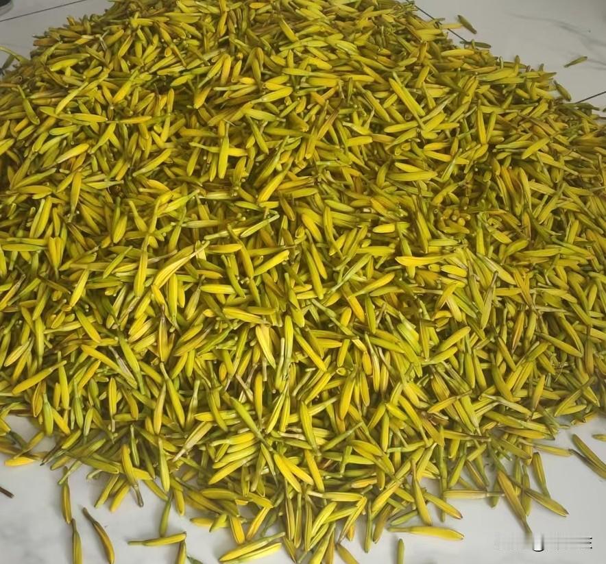 采忘忧
千里草原采忘忧，
凉风刺肉疑似秋。
丝巾遮面蚊虫咬，
请续句……
（严密