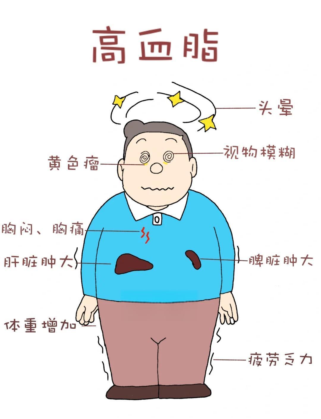 血脂高？别慌！你以为这只是血液里的“脂肪”问题吗？

其实，这背后隐藏着一系列生