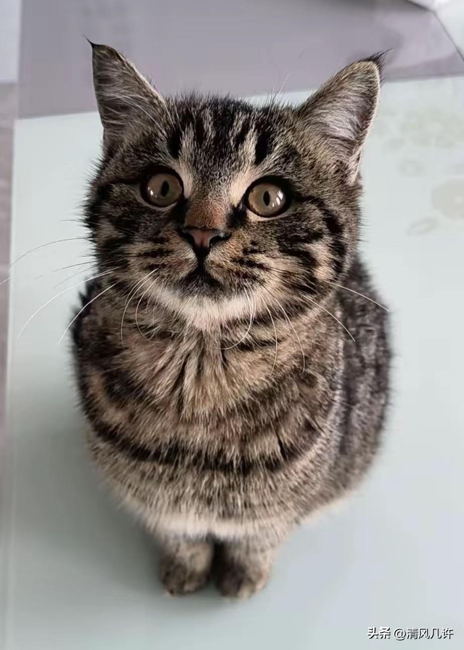 “太神奇了！” 一个网友说：外孙女才三个月大，上个月开始就天天夜里闭着眼哭，怎么