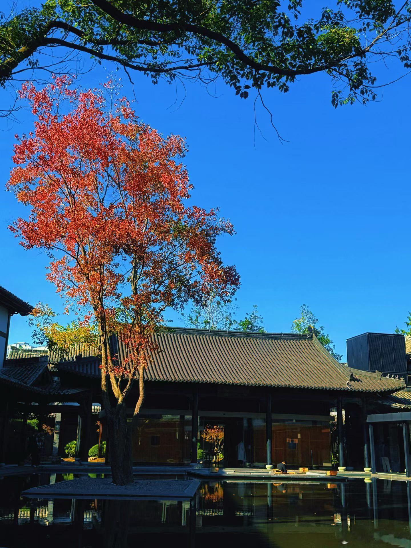 怀着乐观和积极的心态，把握好与人交往的分寸，让自己成为一个使他人快乐的人，让自己