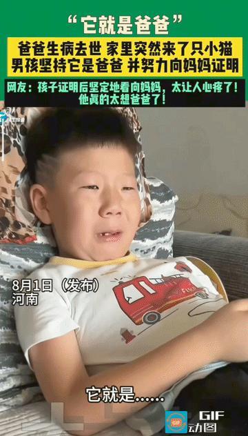 “真的解释不清了！”河南，小男孩的爸爸因为生病去世了，男孩每天都在思念爸爸，有一