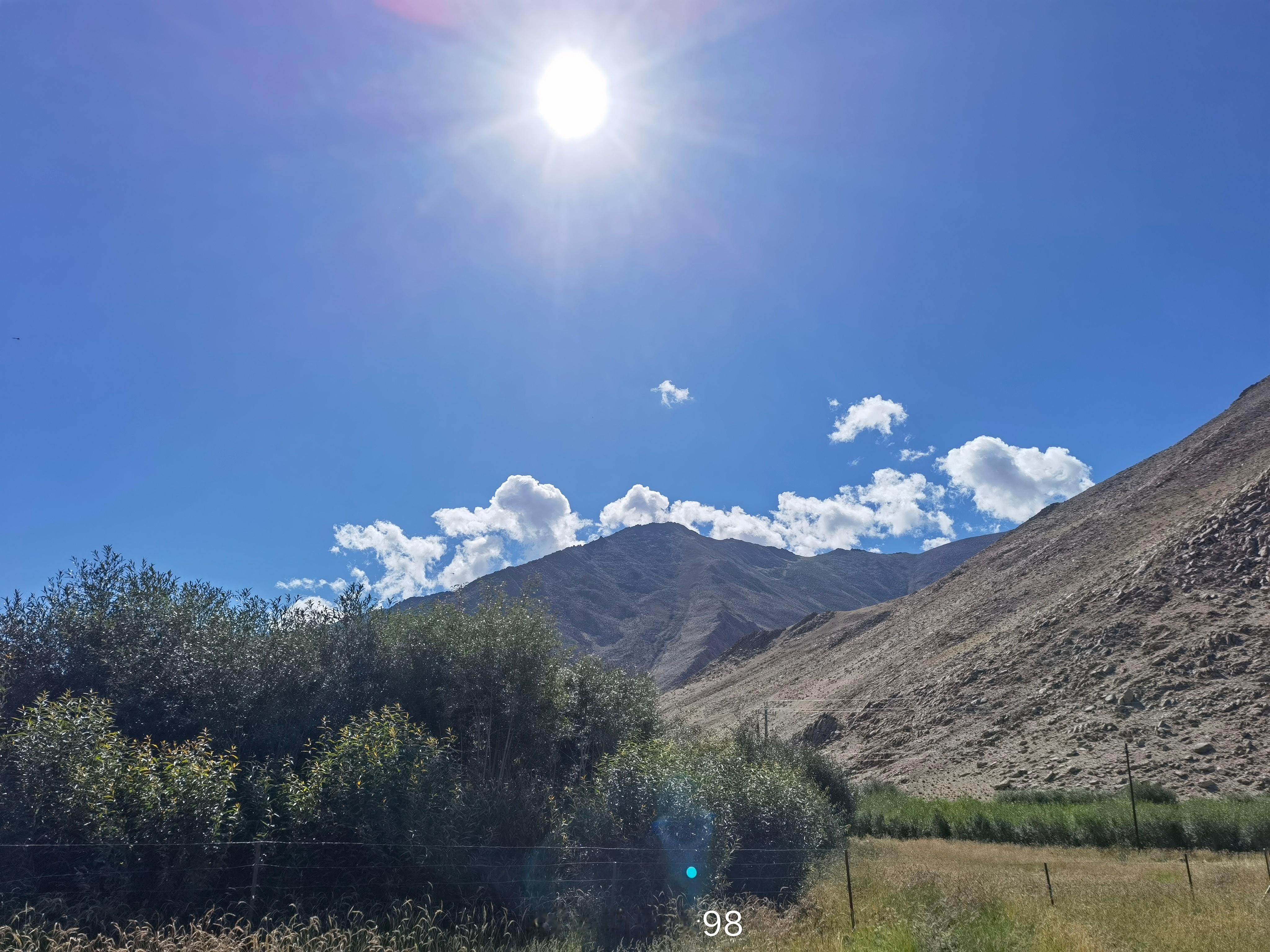 #红色热土高海拔之恋# 在长不成树的“生命禁区”藏西高原，班公柳的出现是个奇迹。