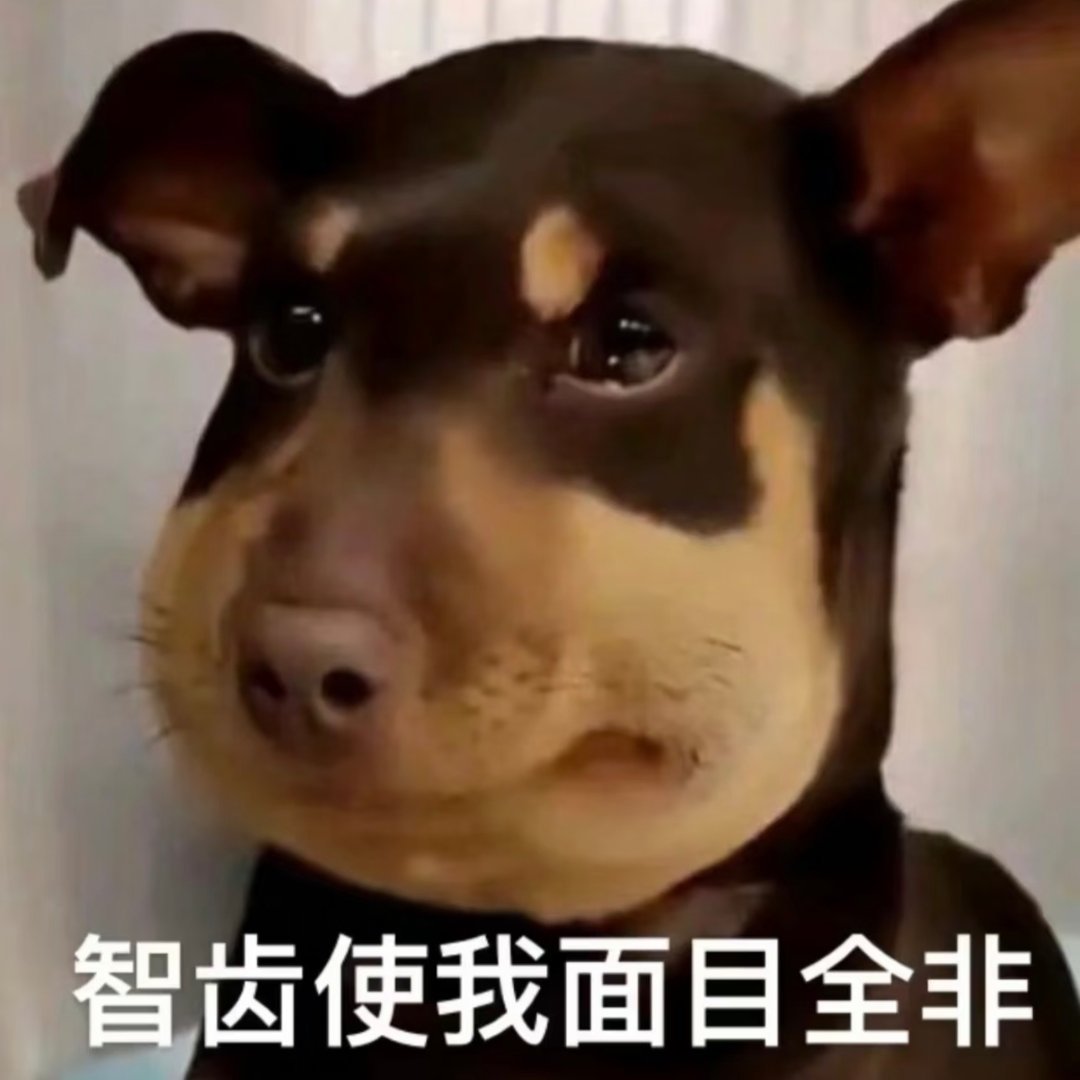 拔完智齿了！确实不痛！不知道晚点麻药过后怎么样[泪奔] ​​​