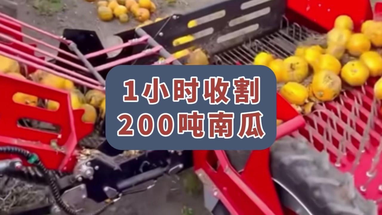 👩‍🌾工作过程：
1️⃣前端的5个锥形筒会将南瓜收拢起来，橡胶圈会圈送南瓜到