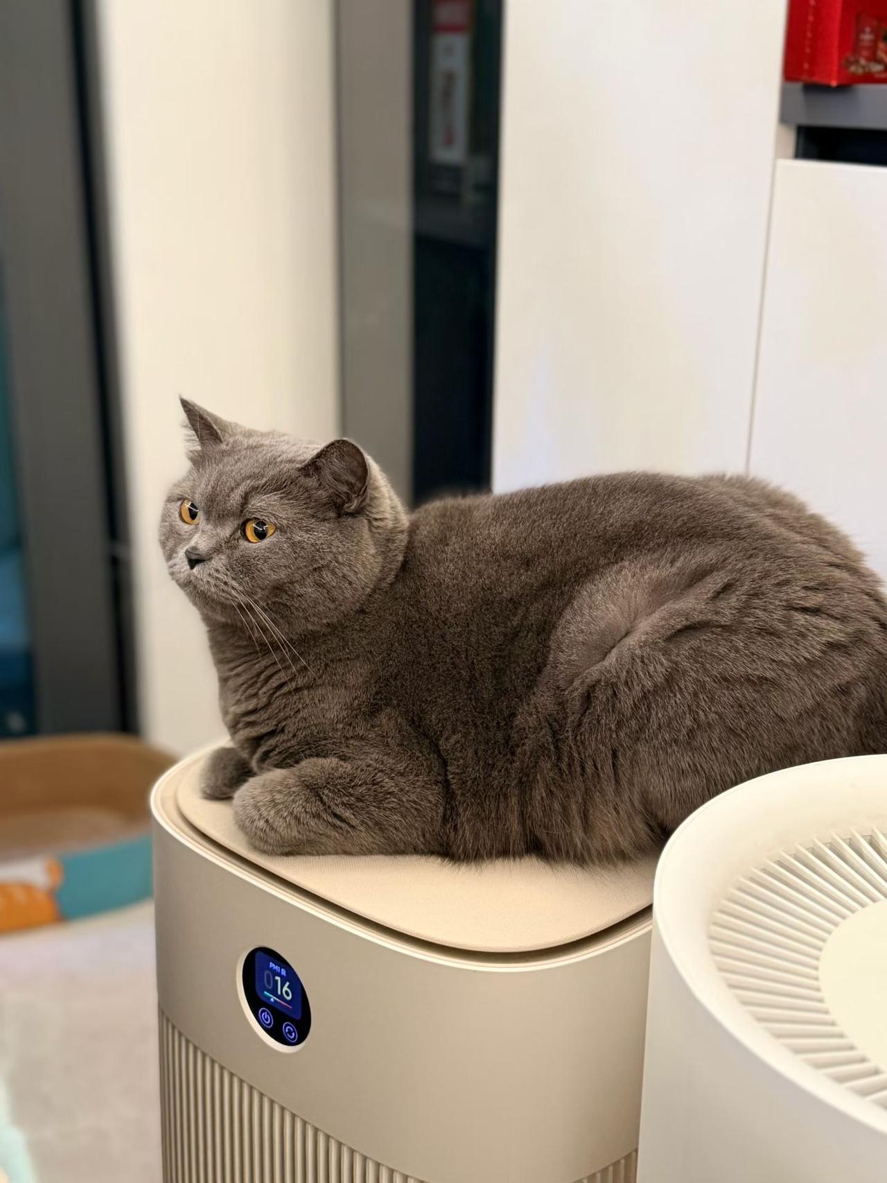 晒出你的本地生活 晒出你的本地生活 晒出你的本地生活 粤西地区，通常指的是茂名、