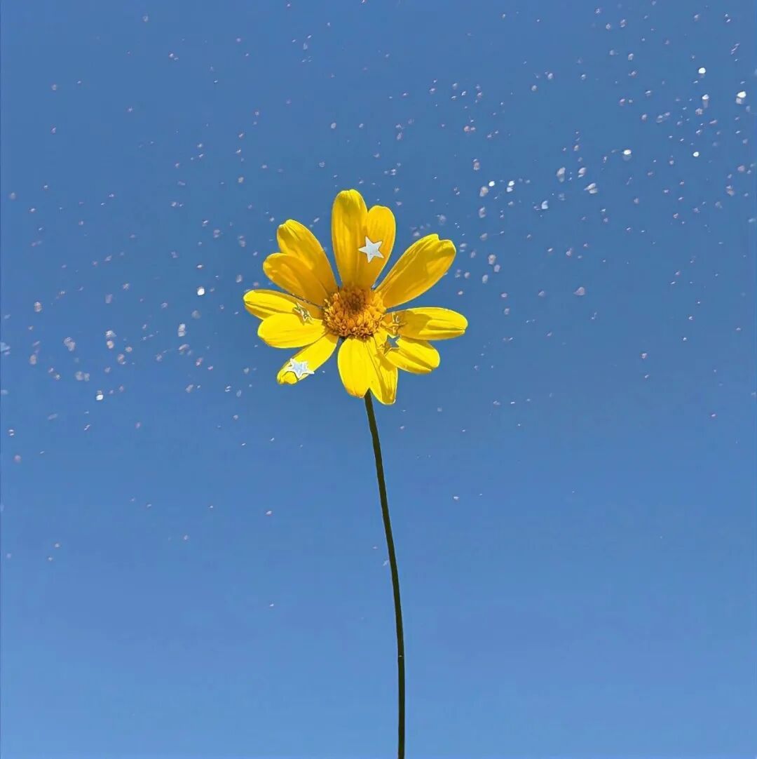 背景图分享