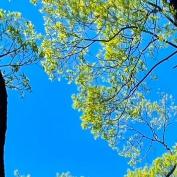 每日一善[好运连连]阳光信用 没有什么比坚持更重要，因为坚持是通往成功的唯一路径