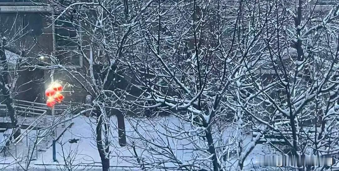 北京秒入夏，脱秋裤啦！
 
北京天气骤变，三月上旬刚迎告别春雪，下旬便一秒切入盛