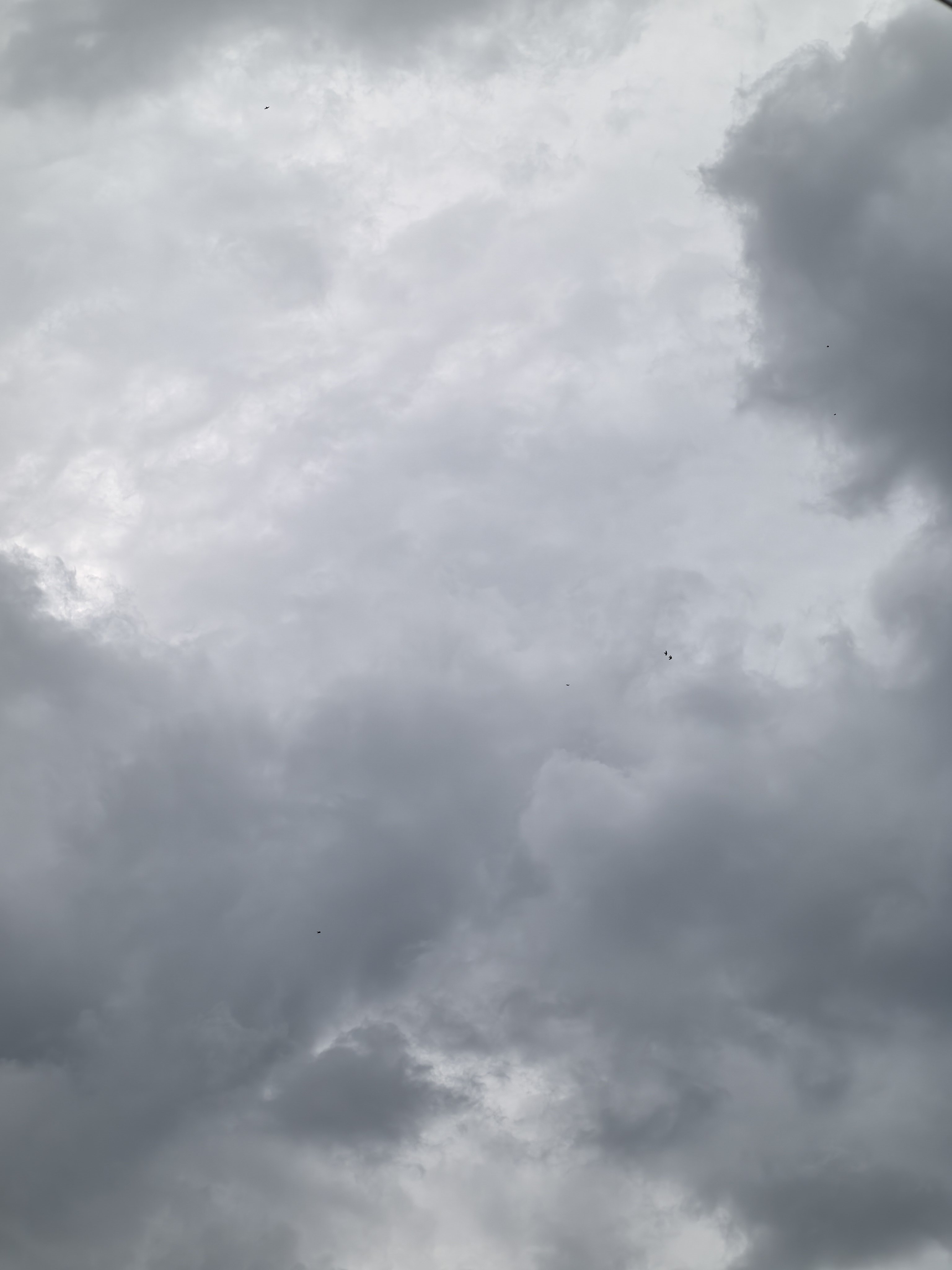 黑云压城城欲摧可惜雨没下过来 