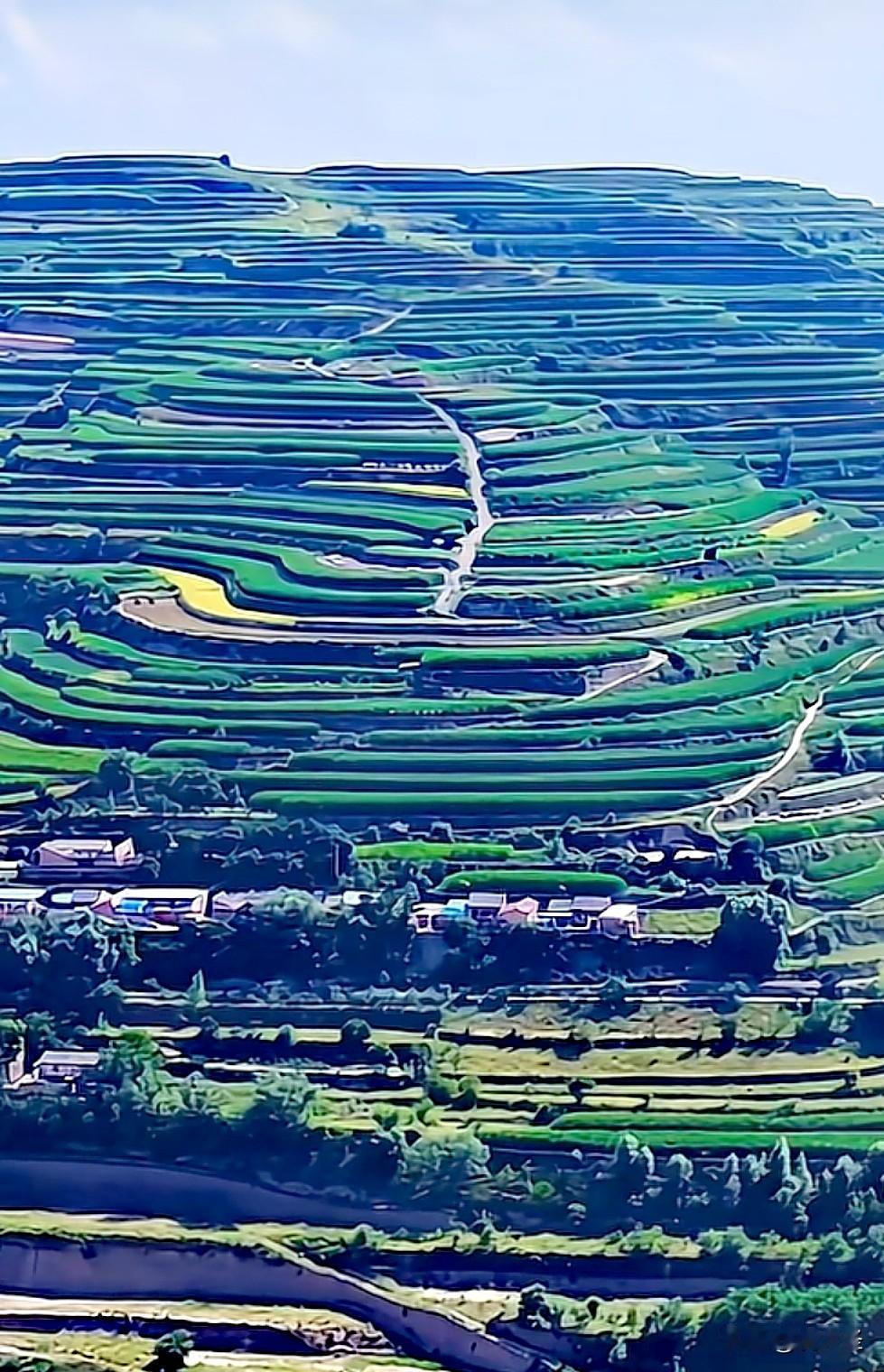 刚拍了张乡村风景照，必须来分享下。瞧这一排排梯田，像阶梯一样在山上错落有致地排列