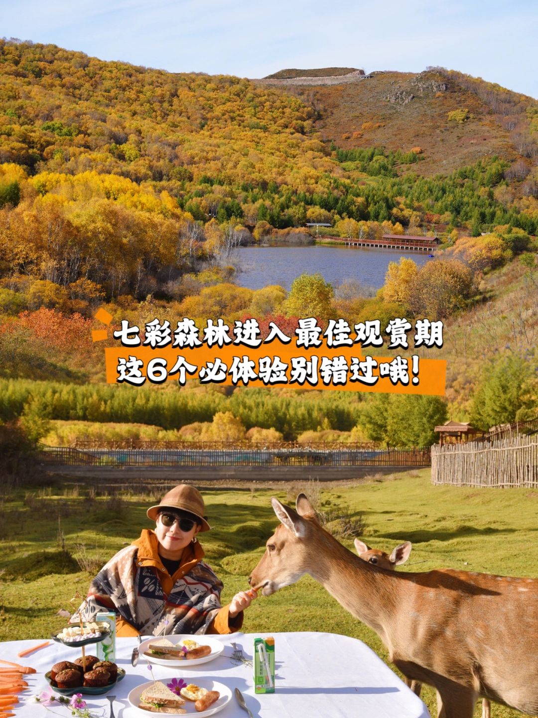 国庆去哪玩？丰宁七彩森林正是最佳观赏期！