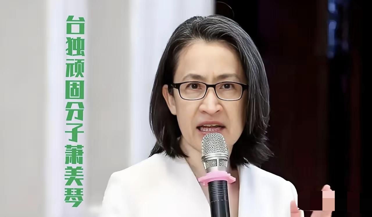 提前对萧美琴进行全球通缉！
​​台湾地区副领导人萧美琴近日赴欧洲议会发表所谓演说