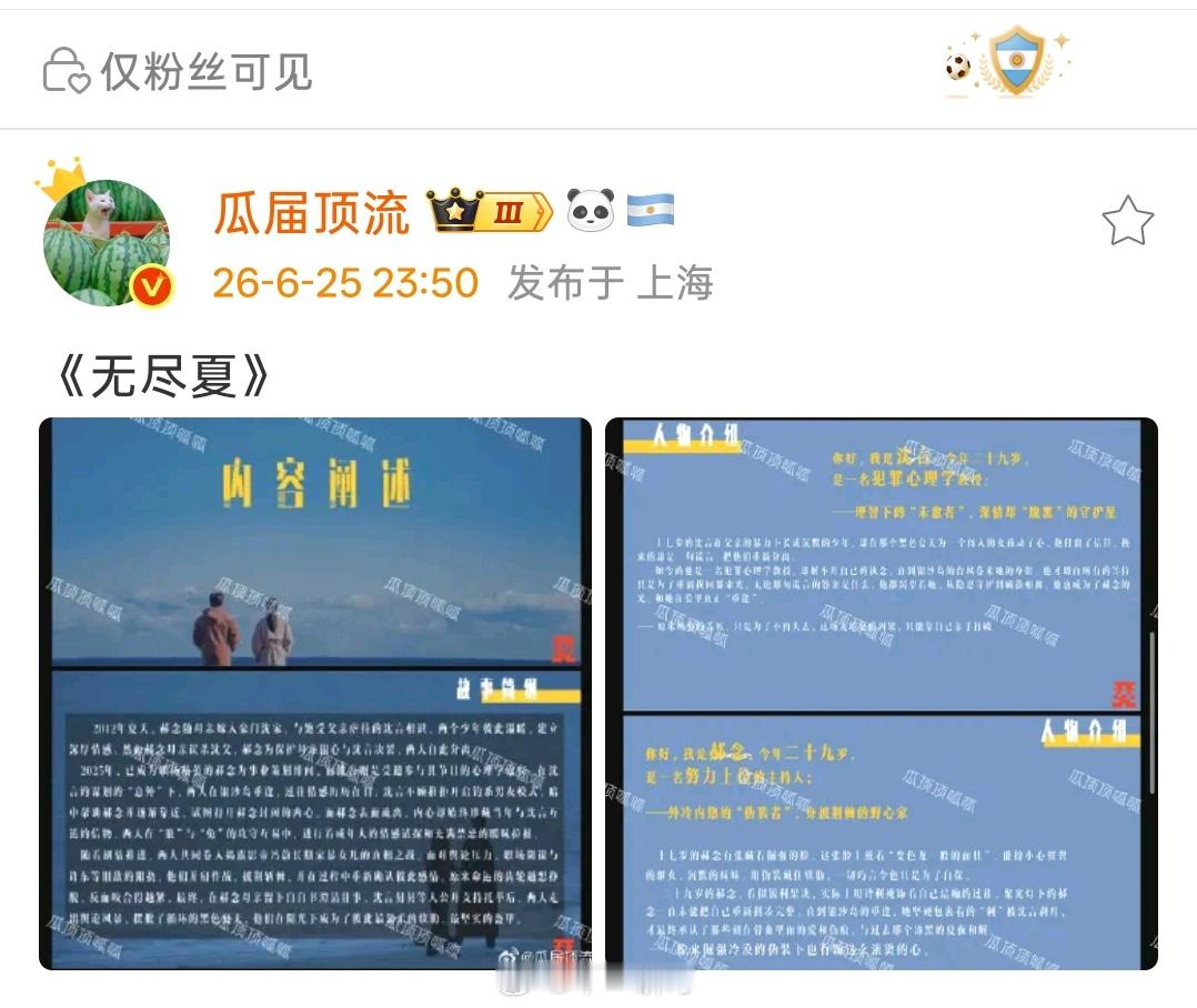 丁舟杰（丁禹兮）、孟子义（按姓氏笔画排序）《爱在无尽夏》故事简纲、人物介绍 