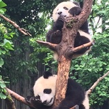 椰晴聚聚娱乐