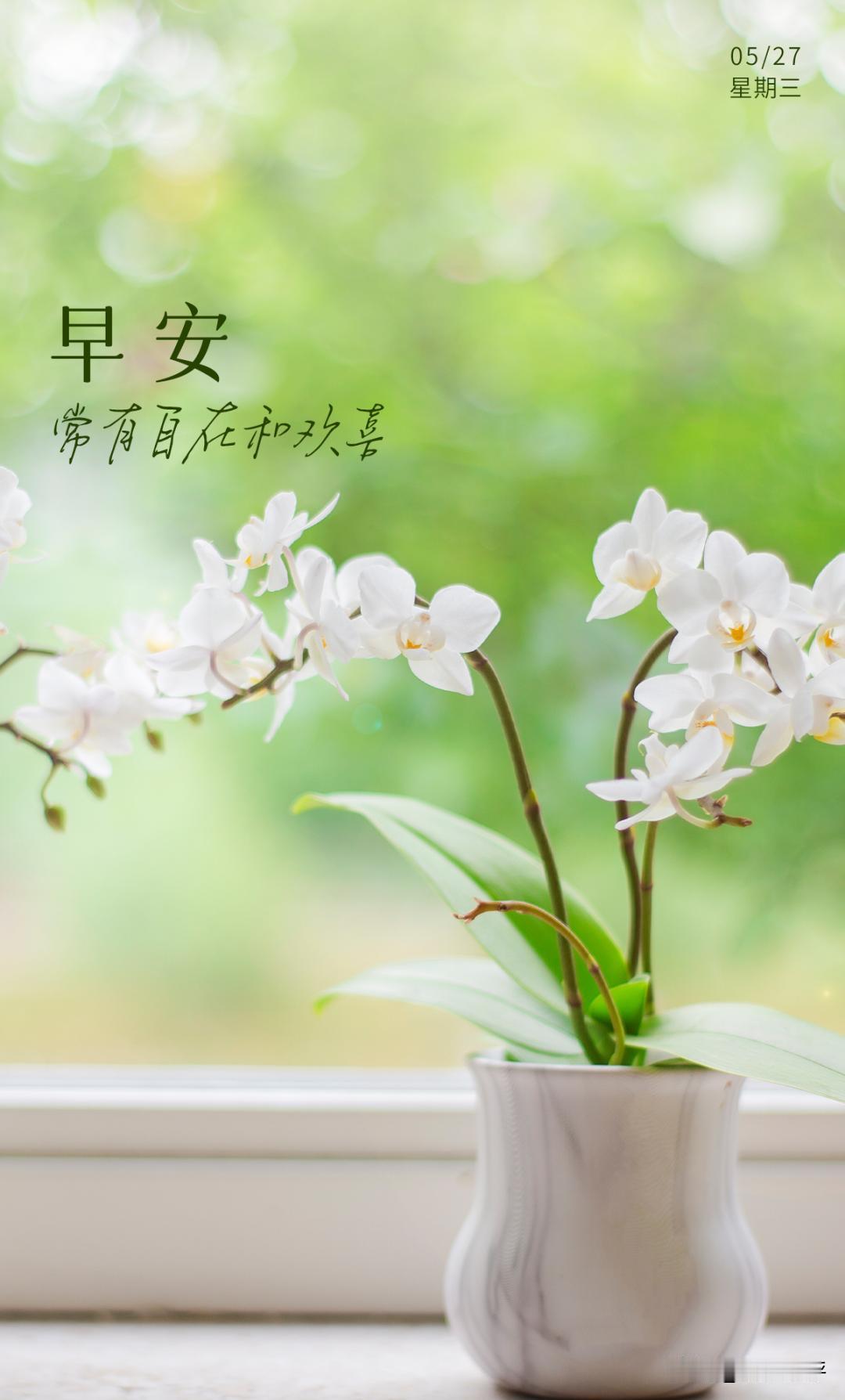 早安！带着自在和欢喜！