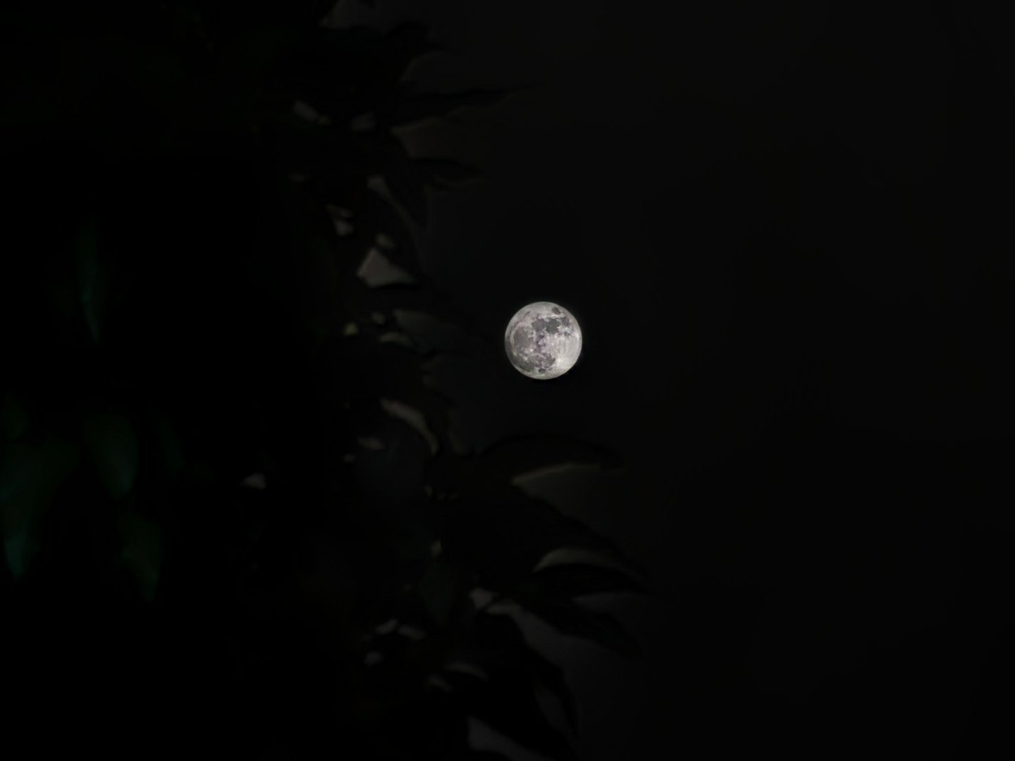 铁锭，今天坐了10小时才到家