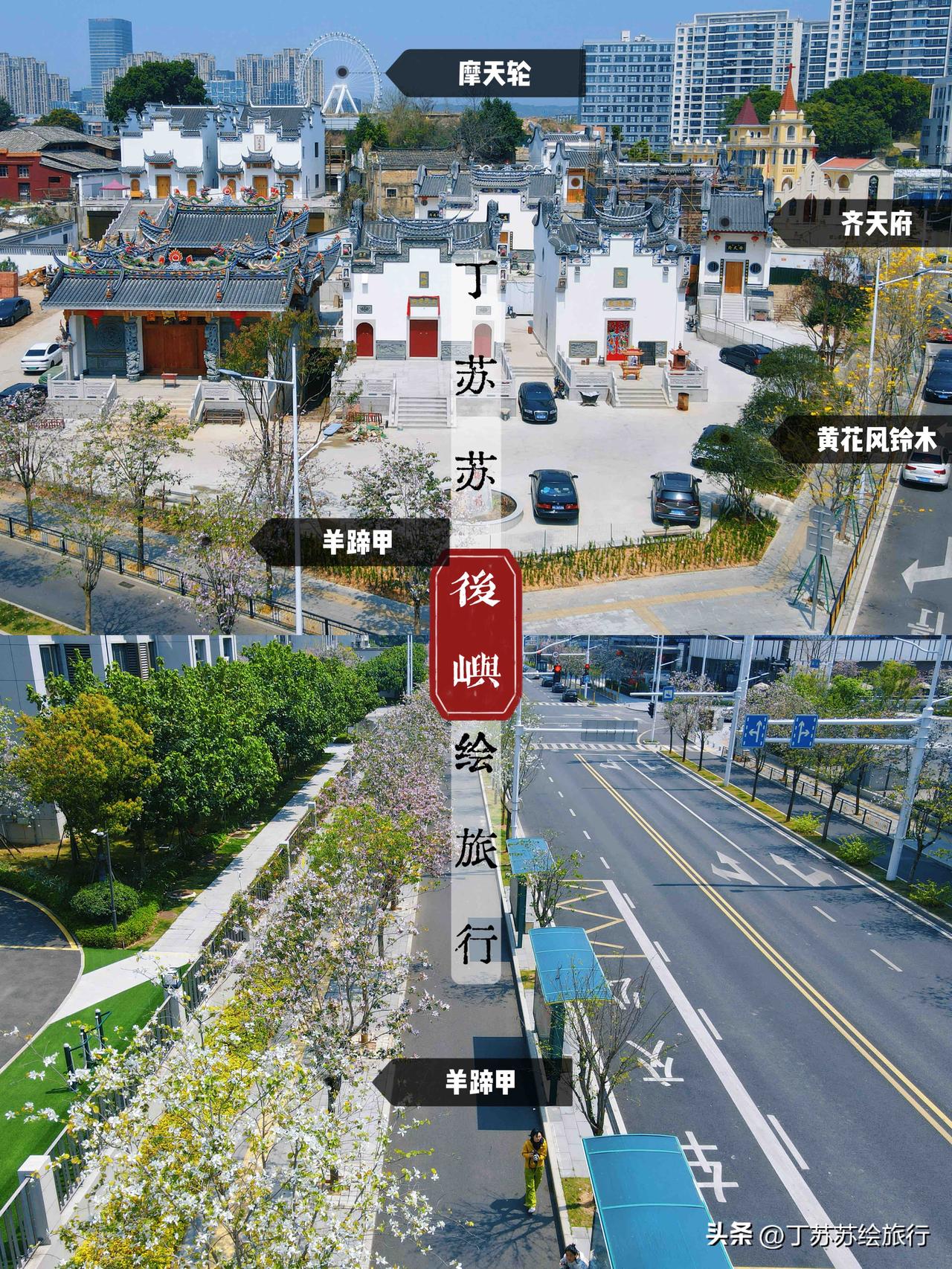 ‼️2026福州满城尽带羊蹄甲！新地点赏花地图攻略+坐地铁去游玩19处景点拍照指