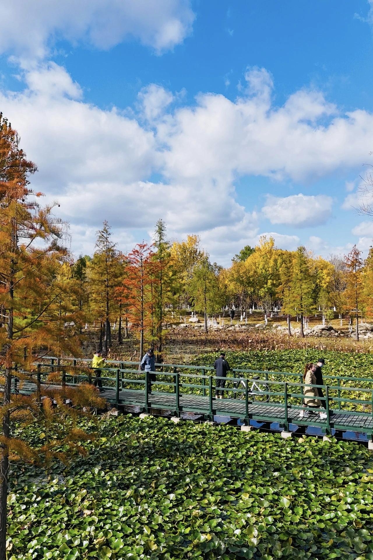 【世界上最没用的两件事，一件是生气，另一件还是生气】
        世界上最没