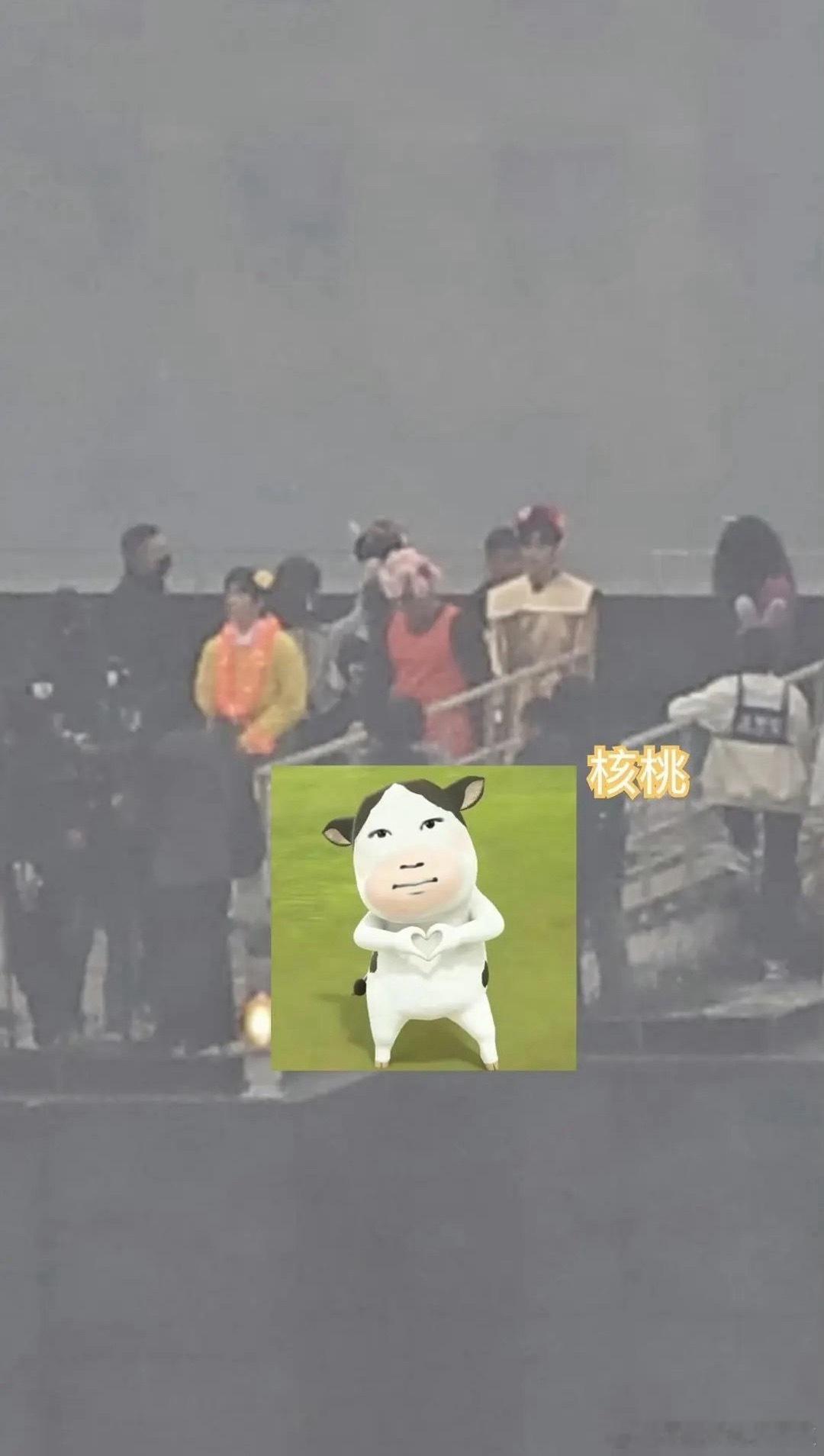 tg 老肆肆真的是npc吗？ 