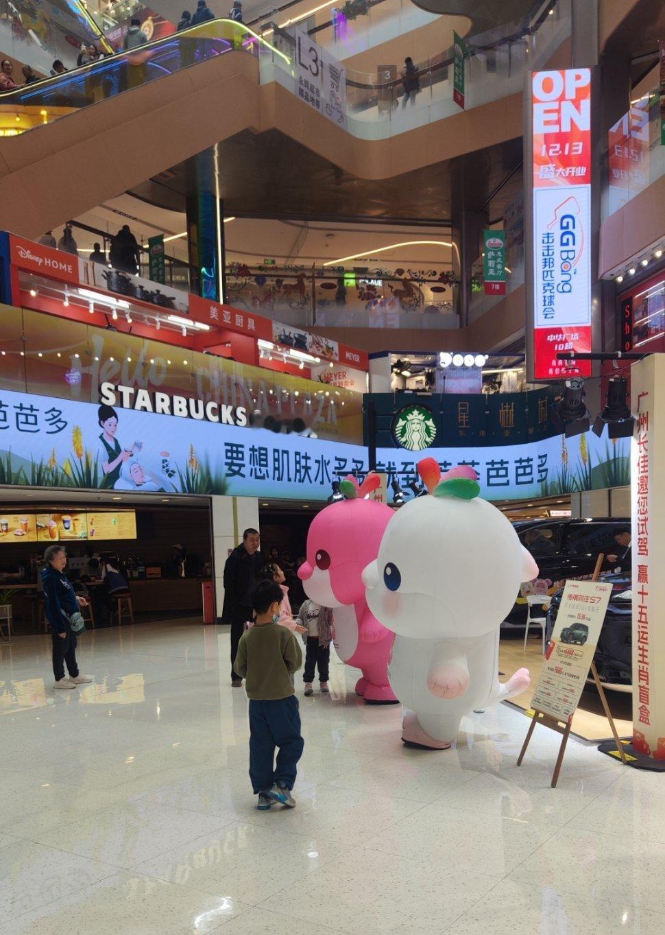 可爱的大湾鸡，热度也过去了，准备错峰去收集一波纪念品