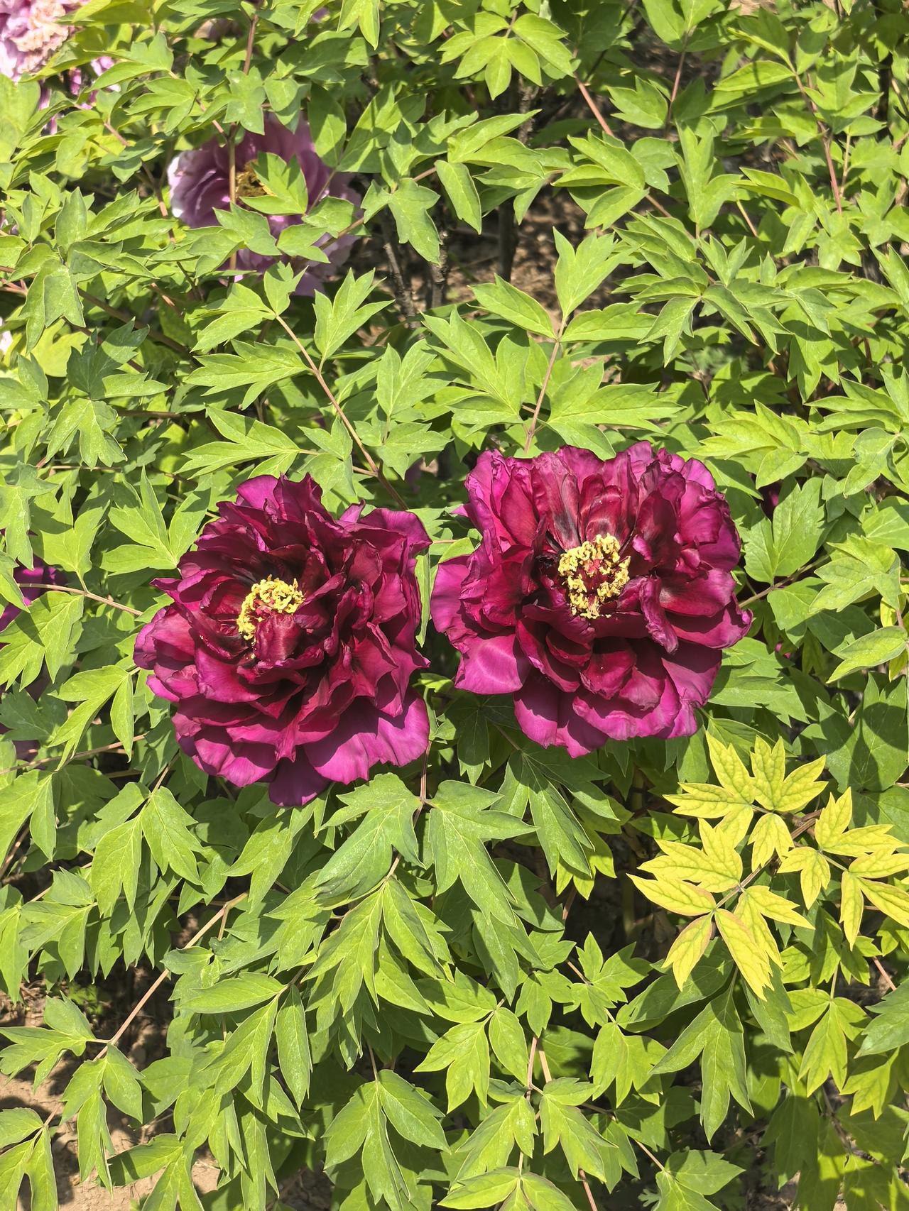 股票涨了就卖？错！这3个买卖误区，亏钱比赚的还快！
很多新手投资者都有一个误区：