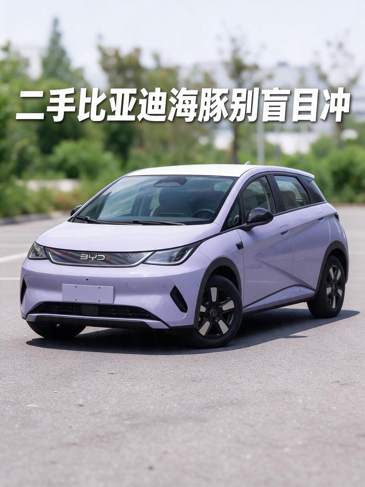 二手比亚迪海豚别盲目冲！我跑市场淘车，各年款好坏 + 真实行情一次性讲透
兄弟们