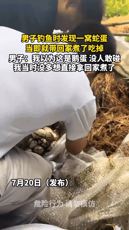 男子野外捡到一窝蛋，外形看着白白圆圆的，他想当然以为是鹅蛋，直接带回家下锅煮熟。