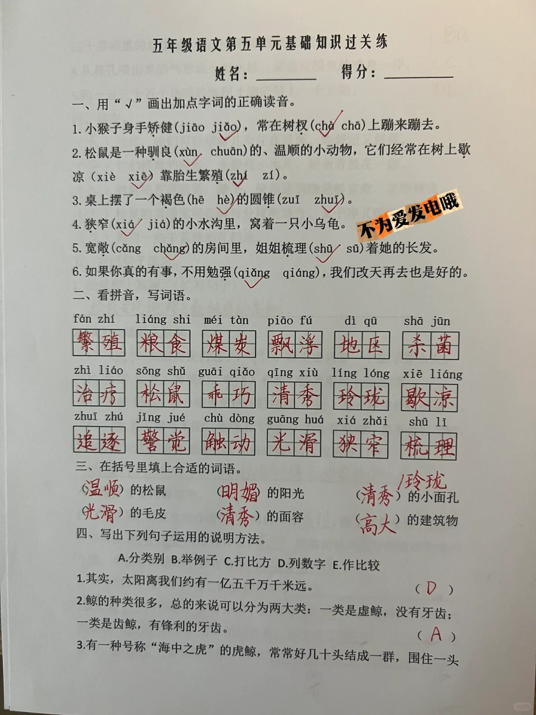 五年级语文上册期末复习五到八单元基础知识