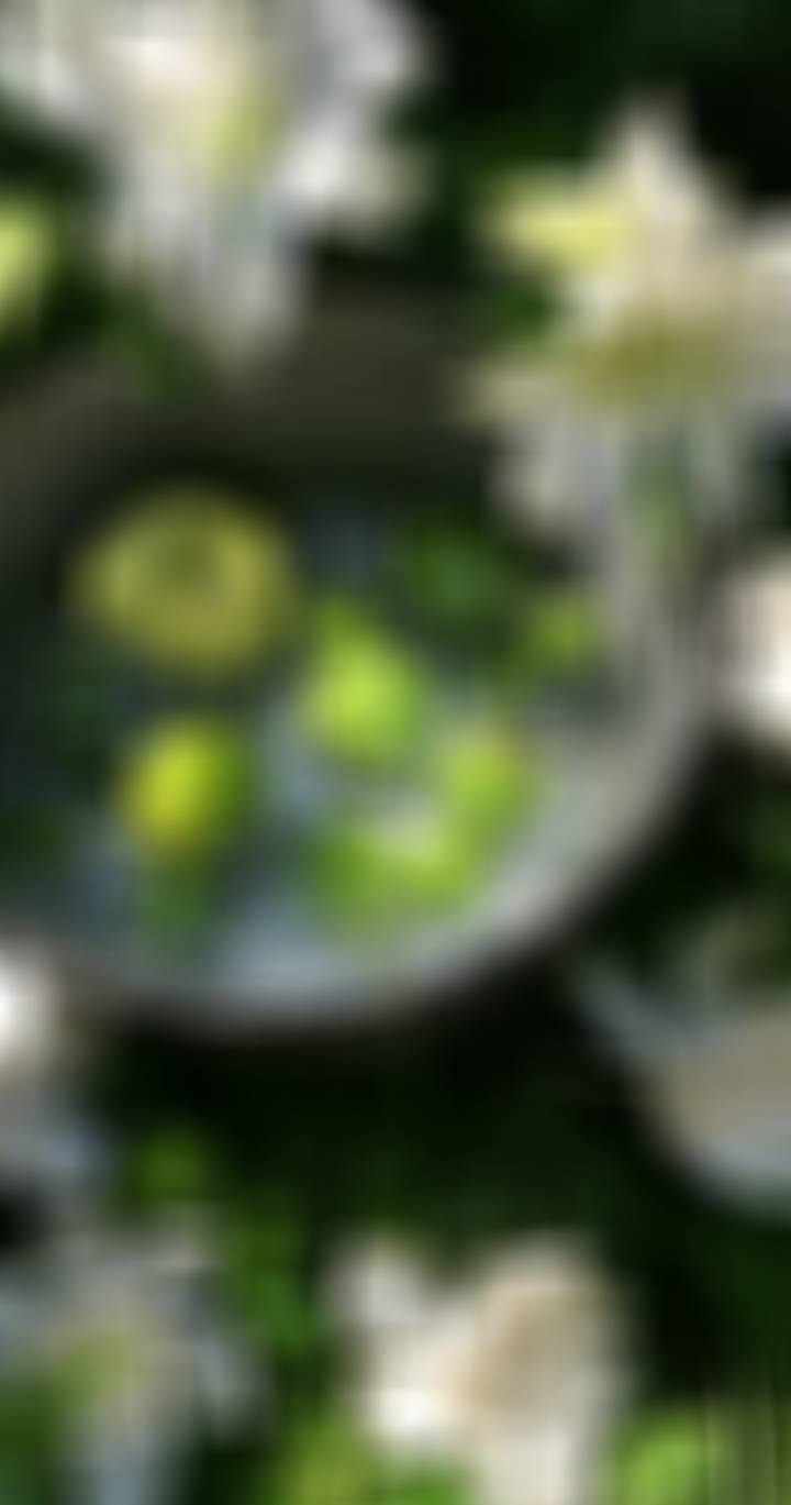 喜水木好运壁纸/背景图主要可以降火气，很利健康运🌿有利康复身体作用/利咳嗽好嗓