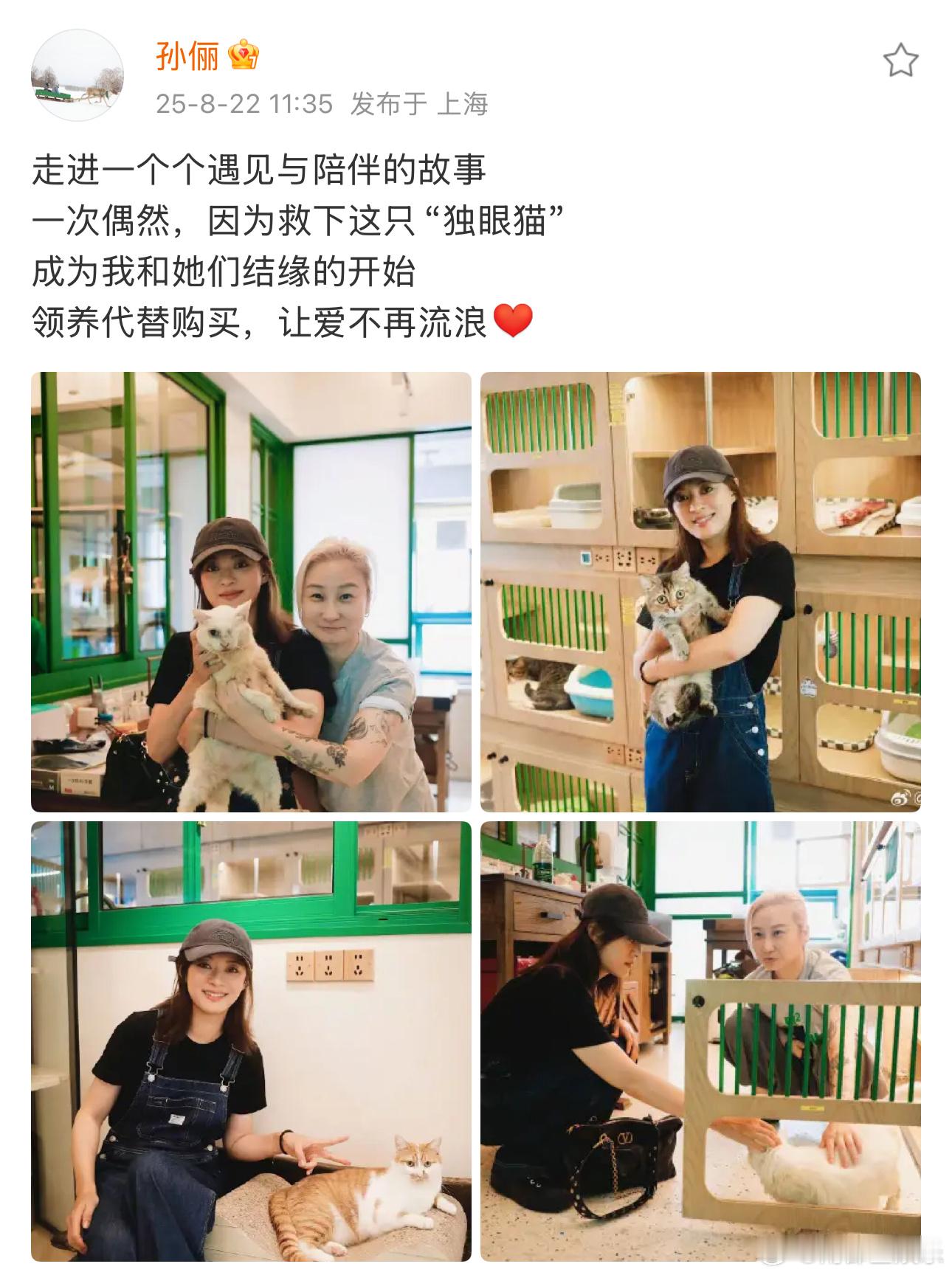 孙俪领养独眼猫今日，孙俪分享自己领养独眼猫的经历：“走进一个个遇见与陪伴的故事。